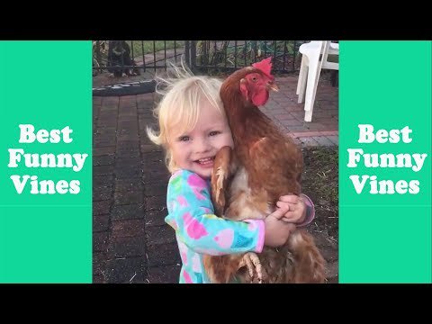 yourbestvids's tweet photo. New video (Try Not To Laugh Watching - Funny Kids Fails Compilation February 2019 - Best Funny Vines) has been published on Your Best Vids - https://t.co/x0QsO1yFE6 https://t.co/lt72cfpmwO
