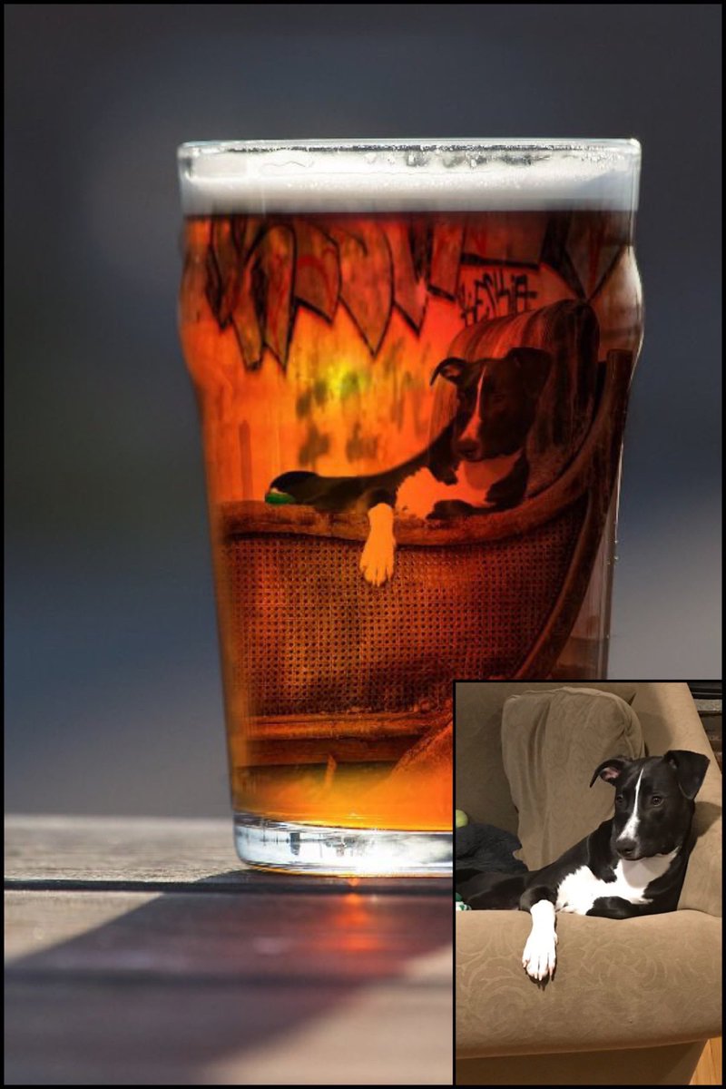 LilShopOPuppers's tweet photo. Now taking #lilshop requests, will go in random order based on whatever strikes my fancy. 

Reply with a pic of your doggo, and I’ll make a wacky photo edit of my choice with your pup in it. 

Here are some of my favorites of the ones I’ve made so far: https://t.co/DMpVq4k8Rb