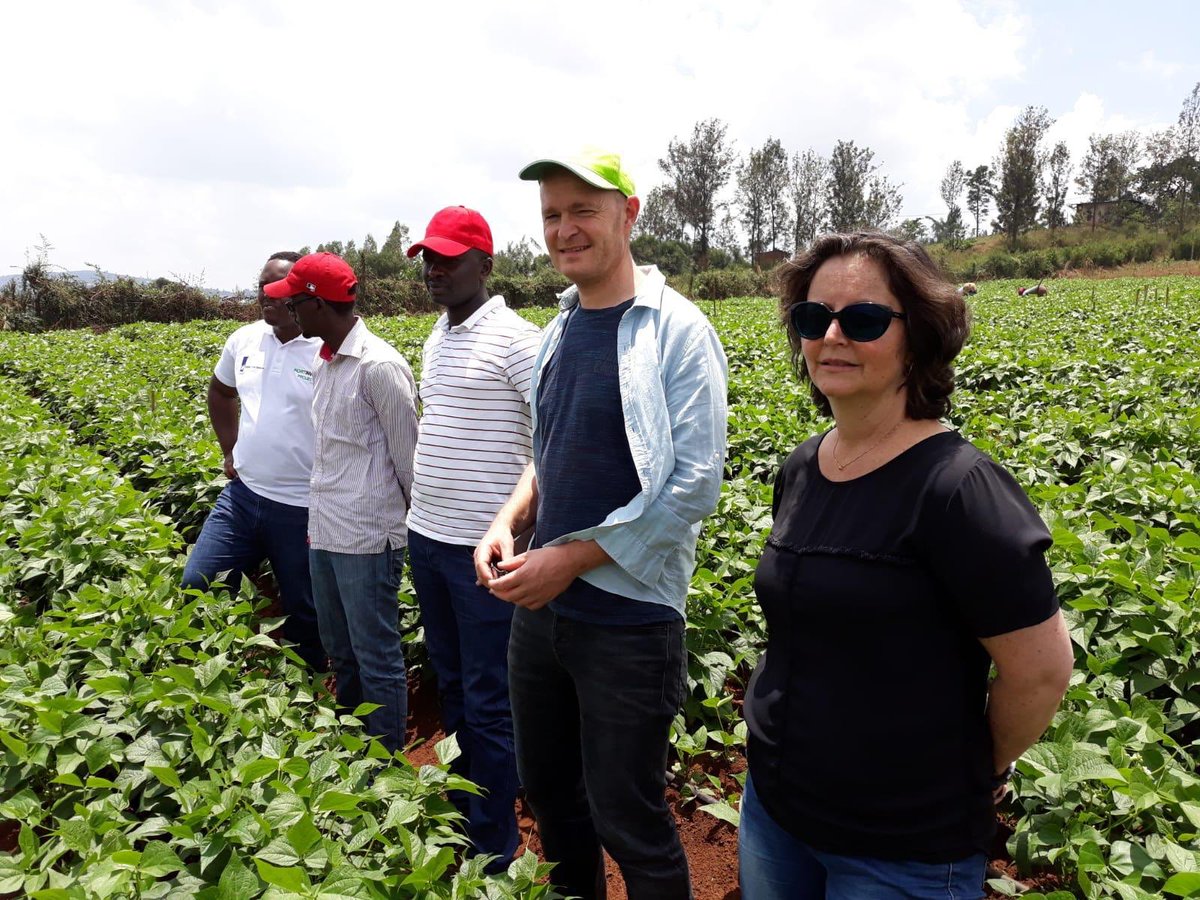 HGTRwanda's tweet photo. Practical @IDH_buzz Training for Rwandan Vegetable Exporters at Sunripe Farm. 90% of Rwandan vegetable export came together. #Foodsafety, #pestcontrol, #mechanisation, #soil, #seeds, #irrigation, #timetoharvest, #productspecifications &amp; #shelflife @HollandGreentec #hortinvest https://t.co/z0gNDew3LQ