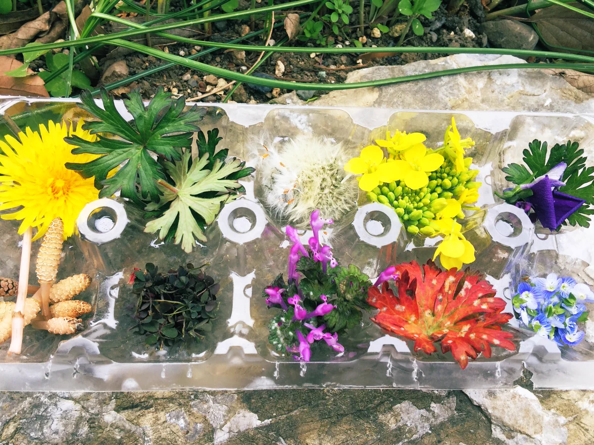 4歳の娘さんと家の周りを一周！春の十色集めはインスタ映え間違いなし！！