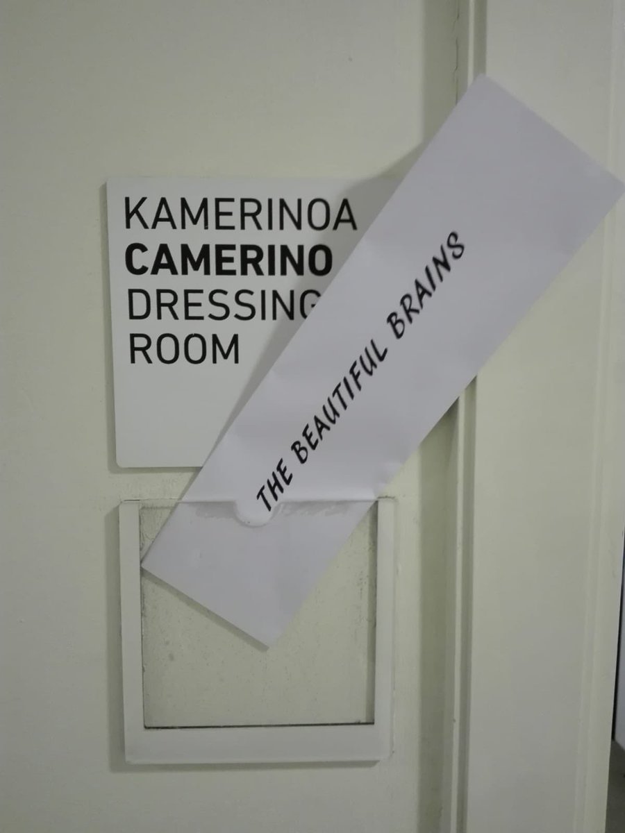 The Beautiful Brains tweet media