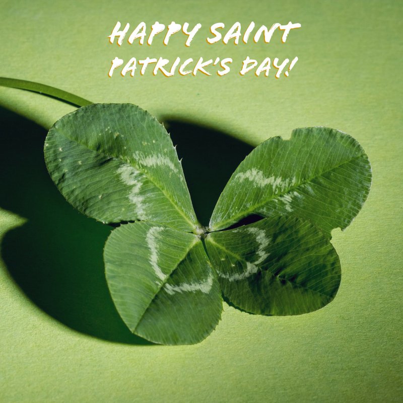 arbortrek's tweet photo. Wishing you an especially lucky day! (Remember to wear green!!!) https://t.co/XUYtiVlk0l