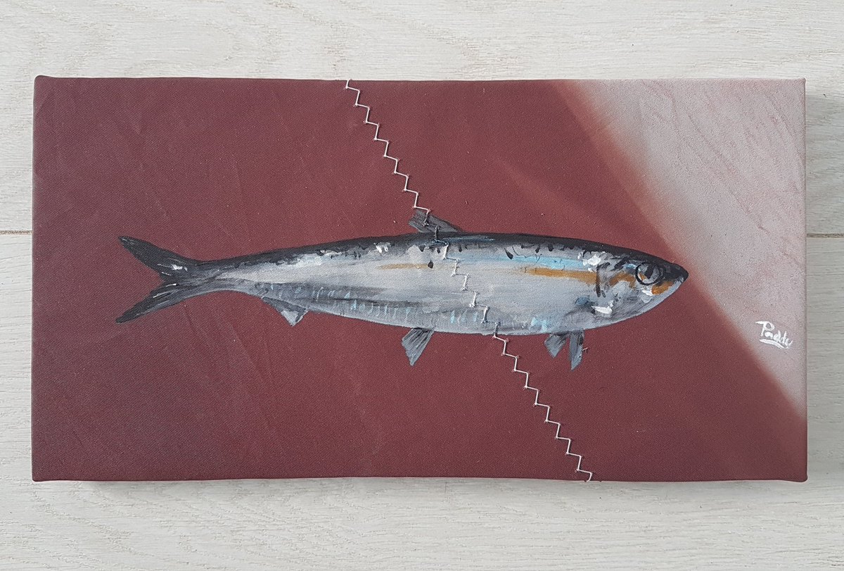 Painted on a piece of old, bleached sail from Cornish Shrimper 'Topsy'. I'm really liking the fade from the sun damage.
'Sardine on Shrimper sail'
160x300mm
Acrylic on recycled sailcloth 
#art #paintingonsailcloth #painting  #cornishsardines #pilchards #sardines #cornishshrimper