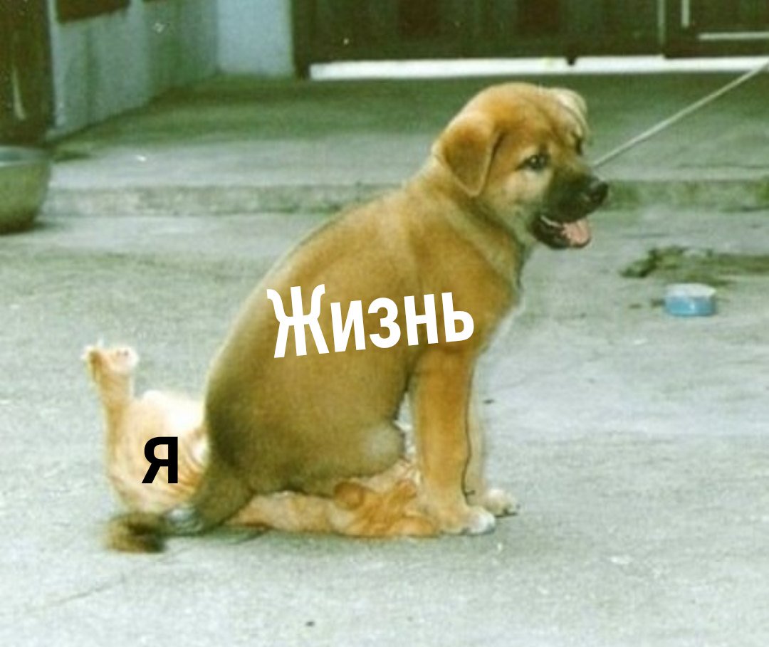 exol_planet12's tweet photo. Такс, маи хАрошие, пришло время снова всунуться в кпоперские дела, ибо какая-то бесконтрольная хрень все чаще происходит, а я, честно говоря, просто сижу в танке. Просвещайте, и просвещайтесь вместе со мной💪🏽

#TeamEXO #EXO #SoompiAwards #EXOL #엑소 #TwitterBestFandom #EXOL https://t.co/mNgFn0bJFK