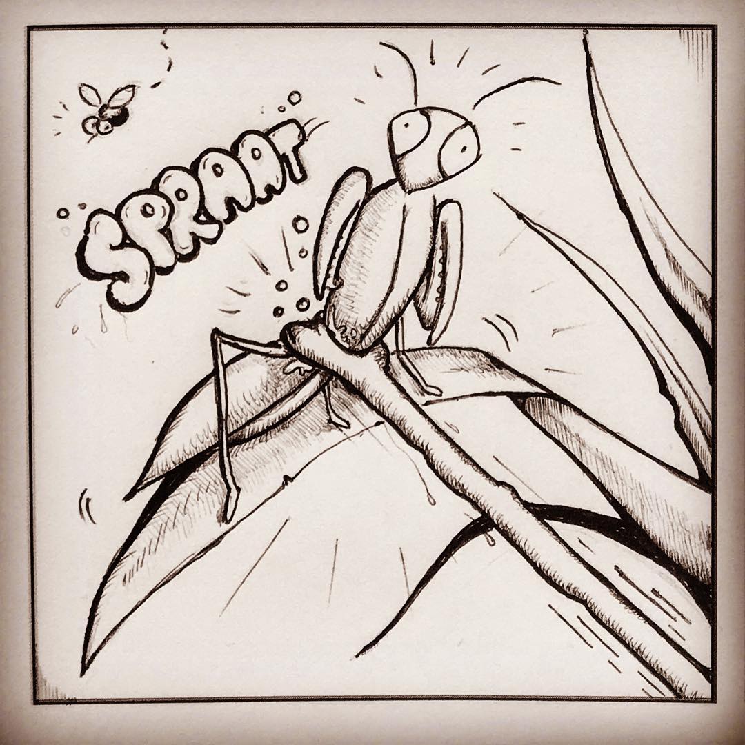 4SquareStory's tweet photo. dying like a hero 🦎

#4ss 
#4squarestory
#story #art #drawing #comic #story #karma #bugs #chameleon #prayingmantis #mantis https://t.co/y3LEWLF0xv
