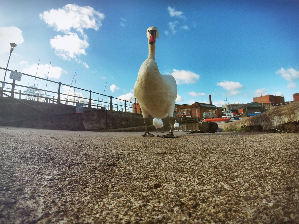 BCSRnewsfeed's tweet photo. Looking to experience Bristol from the water? Contact us via the website to book a free taster session🚣‍♀️💦 https://t.co/sF8Q76umTz