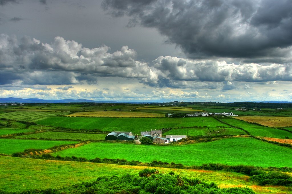 Bonne Saint-Patrick ! 🍀