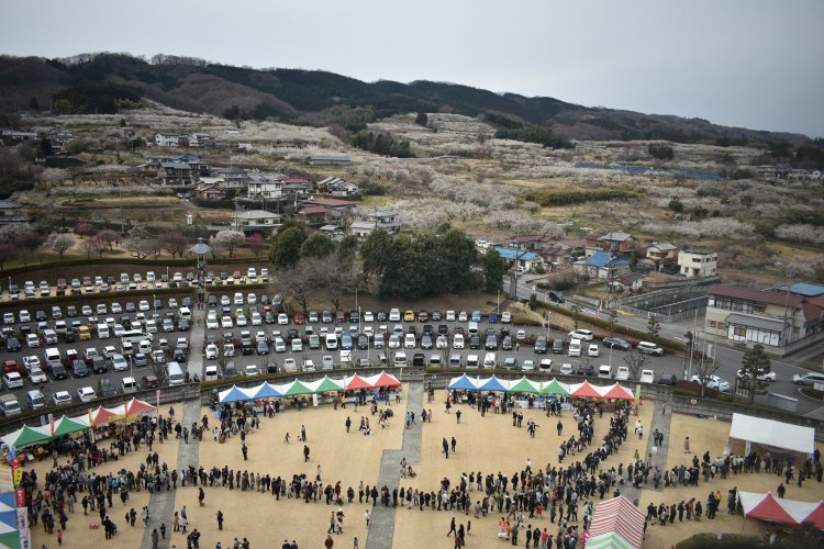 榛名の梅祭り