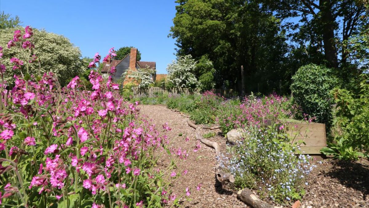 cdaherts's tweet image. WILD #gardening
The UK's 24 million gardens cover a larger area than all The Wildlife Trusts’ nature reserves combined, making them a vital place for #wildlife Manage your garden for wildlife &amp;amp; make a huge difference, l ideas on our E bulletin bit.ly/2T7spUz 
@HMWTBadger