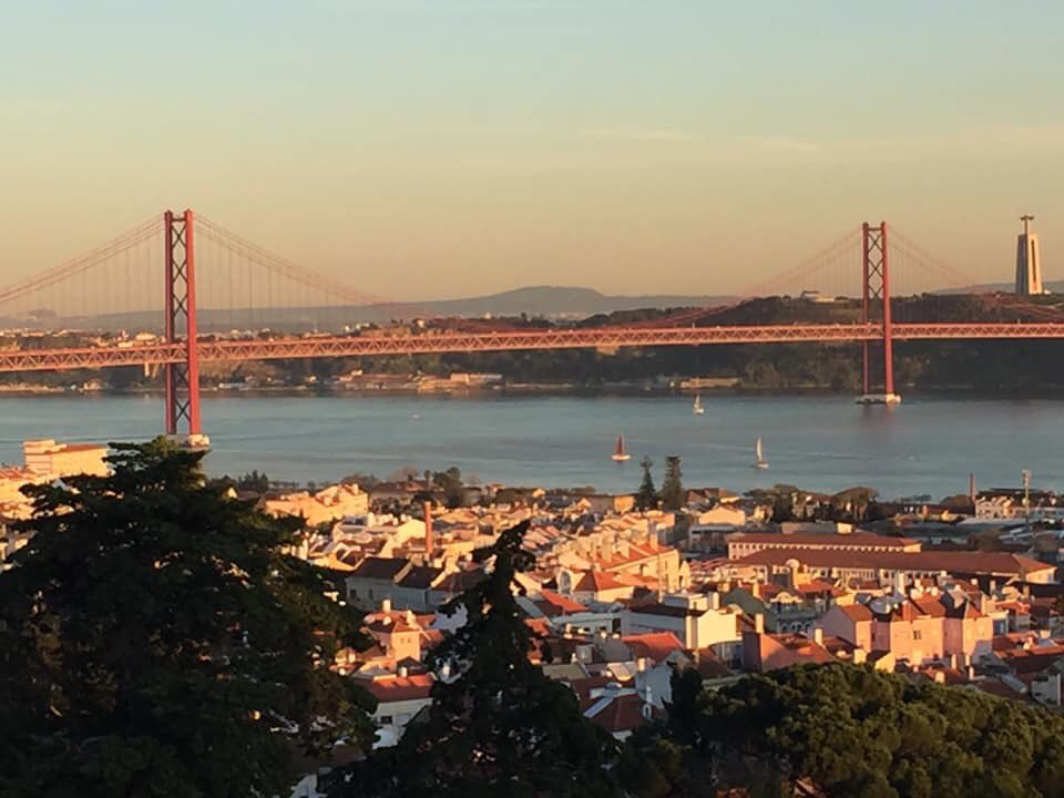 bbroadrunners's tweet photo. Some lucky BRR runners take on the beautiful #lisbonhalfmarathon under blue skies today! And it ainβt looking too bad for the #trimpell20 too! Whatever you are doing today - have a wonderful day! #brrstrong
#run #running #runningclubs https://t.co/nVe0ZTPxEI