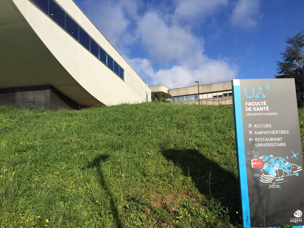 Arthur Piraux 👨‍⚕️ & 👨‍🎓 tweet media