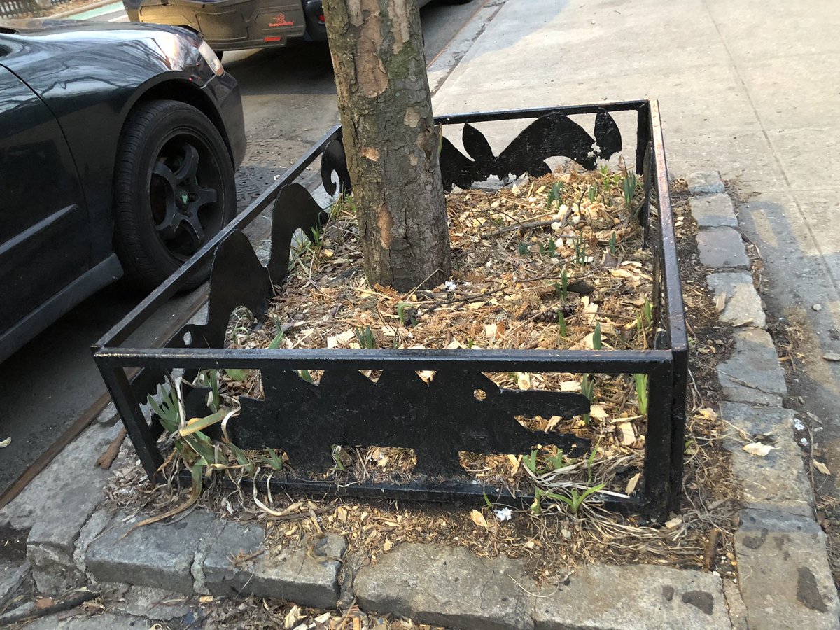 some alligator whimsy