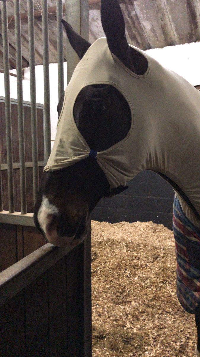 Horses all dressed up and nowhere to go this weekend with <a href="/Pontispool/">Pontispool</a> <a href="/BEventing/">British Eventing</a> abandoned because of the weather