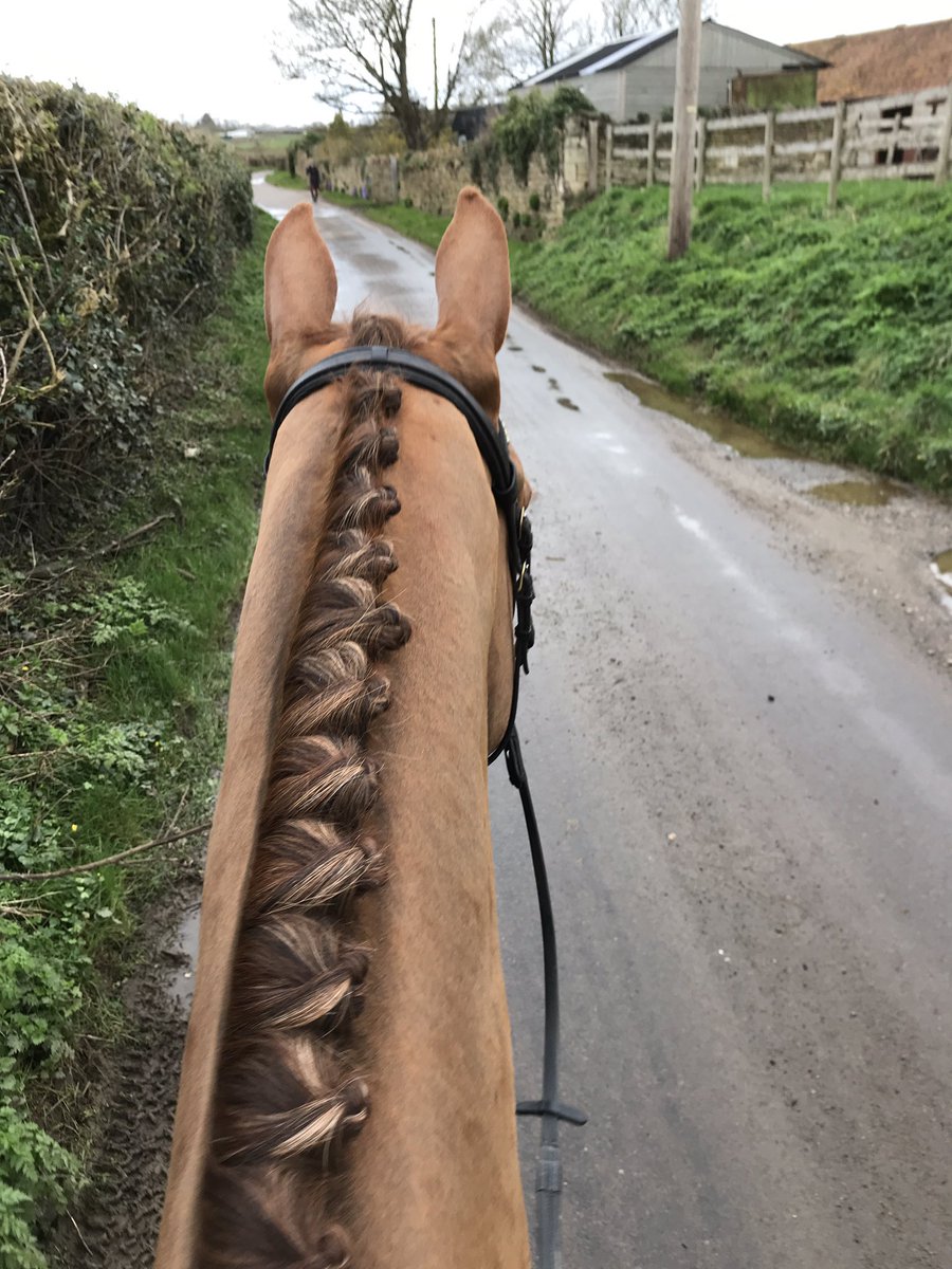 David Doel tweet media