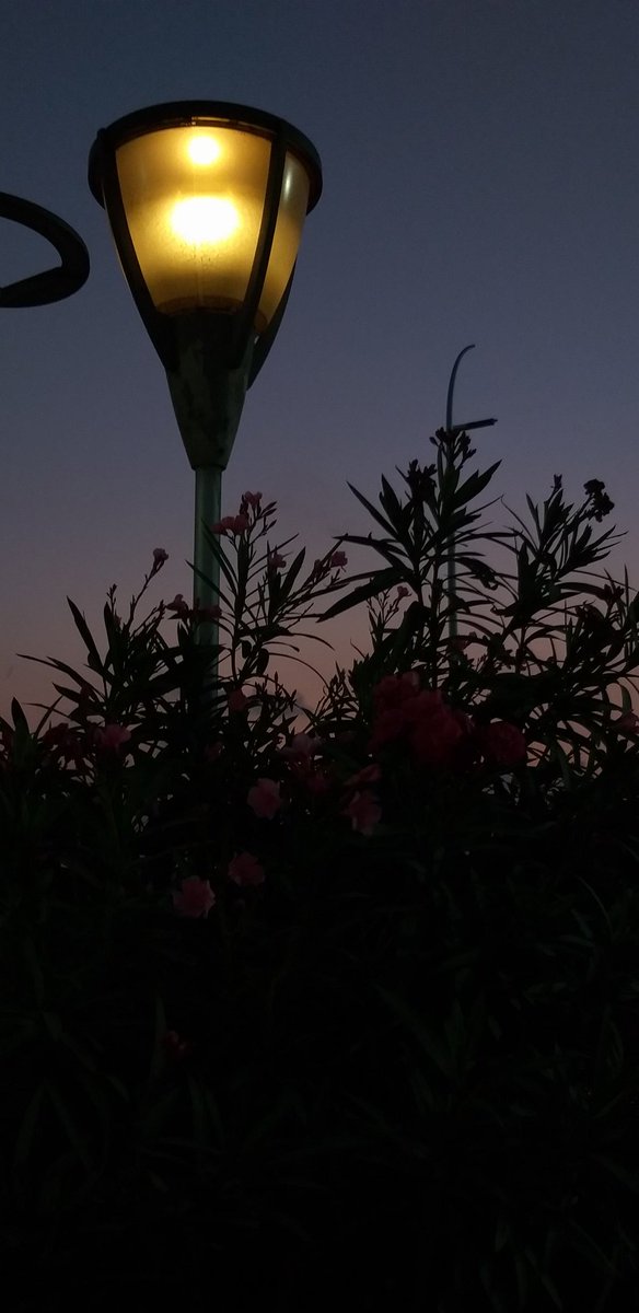 Legs_got_wheels's tweet photo. When u leave me alone with my mobile..! Had a #blissful #sunrise https://t.co/TFQ2ARxpE0