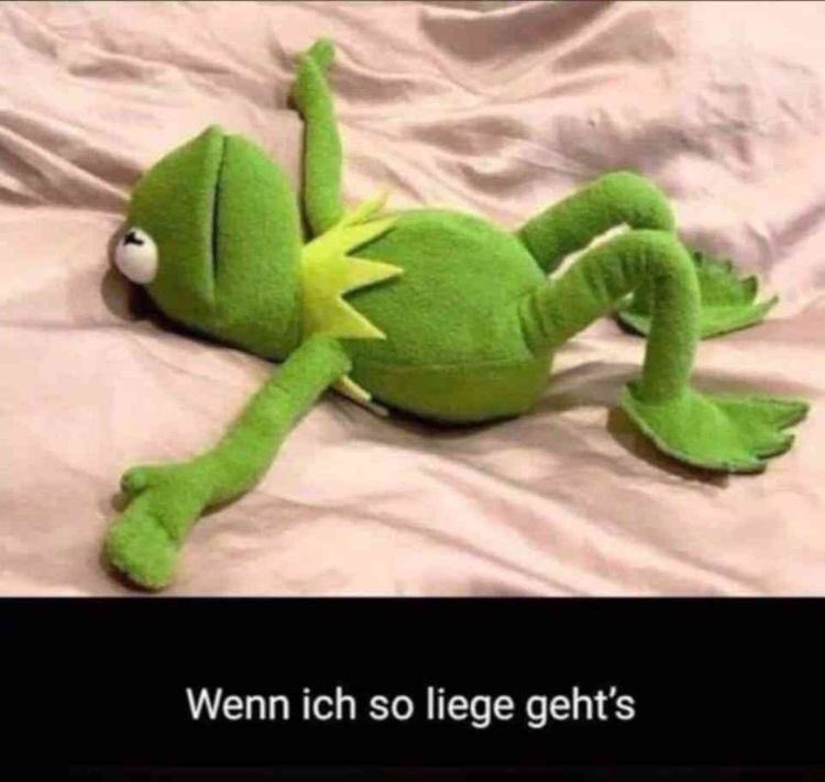 Theo Waldspecht Insektenwiese Bge Twitterissa Gute Besserung Es Fehlt Mal Wieder Der Richtige Doc