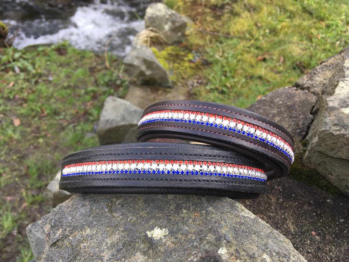 StampedeEq's tweet photo. Pls RT #dobermannlovers My two wearing their new collars for holidays in the Lake District! Red white and blue 🇬🇧 #goodvetguide https://t.co/0l5lW6aHCx
