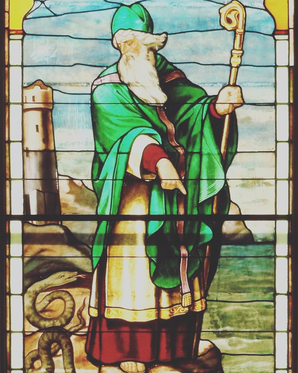 haygroup89's tweet photo. Quick reminder: St. Patrick wore the house colors and had an affinity with snakes. Dude was most definitely a #parseltongue #slytherin https://t.co/e9KdmQAKTU