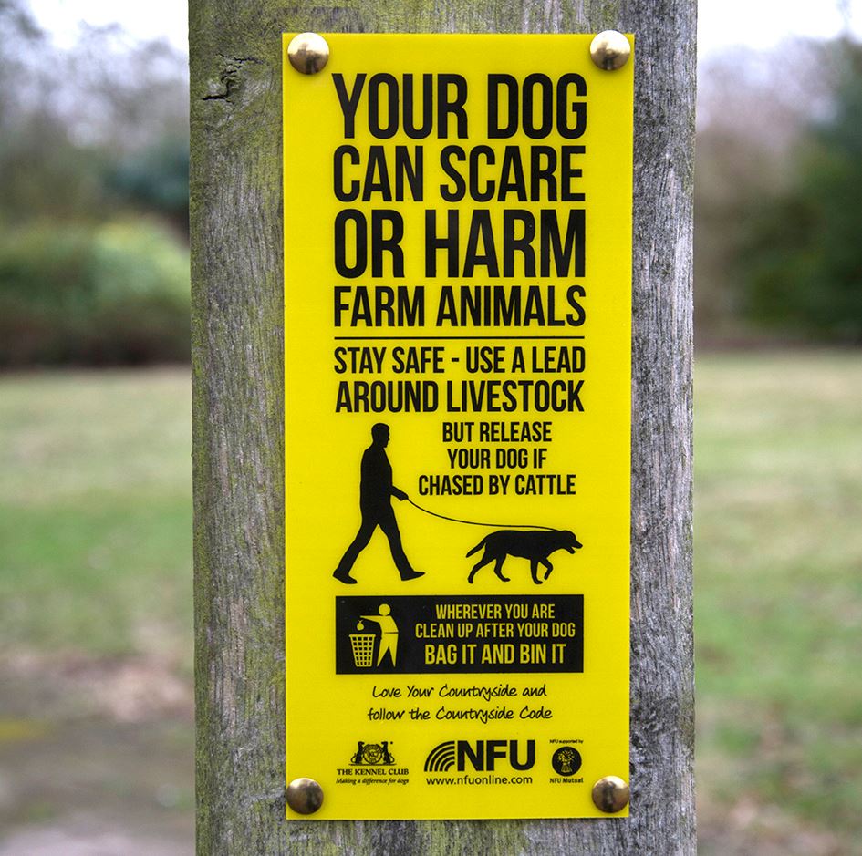 NFUtweets's tweet photo. RT to show the importance of keeping #dogs on a lead around livestock. https://t.co/ocyMbK1WZE