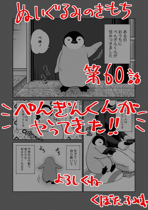 【宣伝】リイドカフェにて「ぬいぐるみのきもち」60話が公開されました?順一のところに…ぺんぎんくん?がやってきたよろしくお願いします?#ぬいぐるみのきもち #ぬきもち 