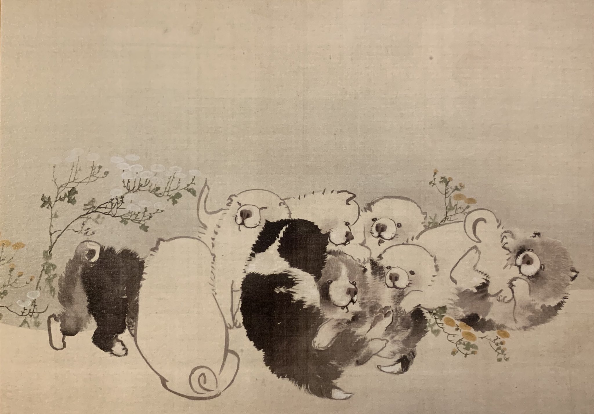 Art Place 犬 と思うともう釘付け ころっころした犬がダンゴになって遊んでてかわいいです 長沢蘆雪は円山応挙のお弟子さんとの事で2人の作品を並べて展示 蘆雪の方がよりコロコロしてましたね 写真 菊花子犬