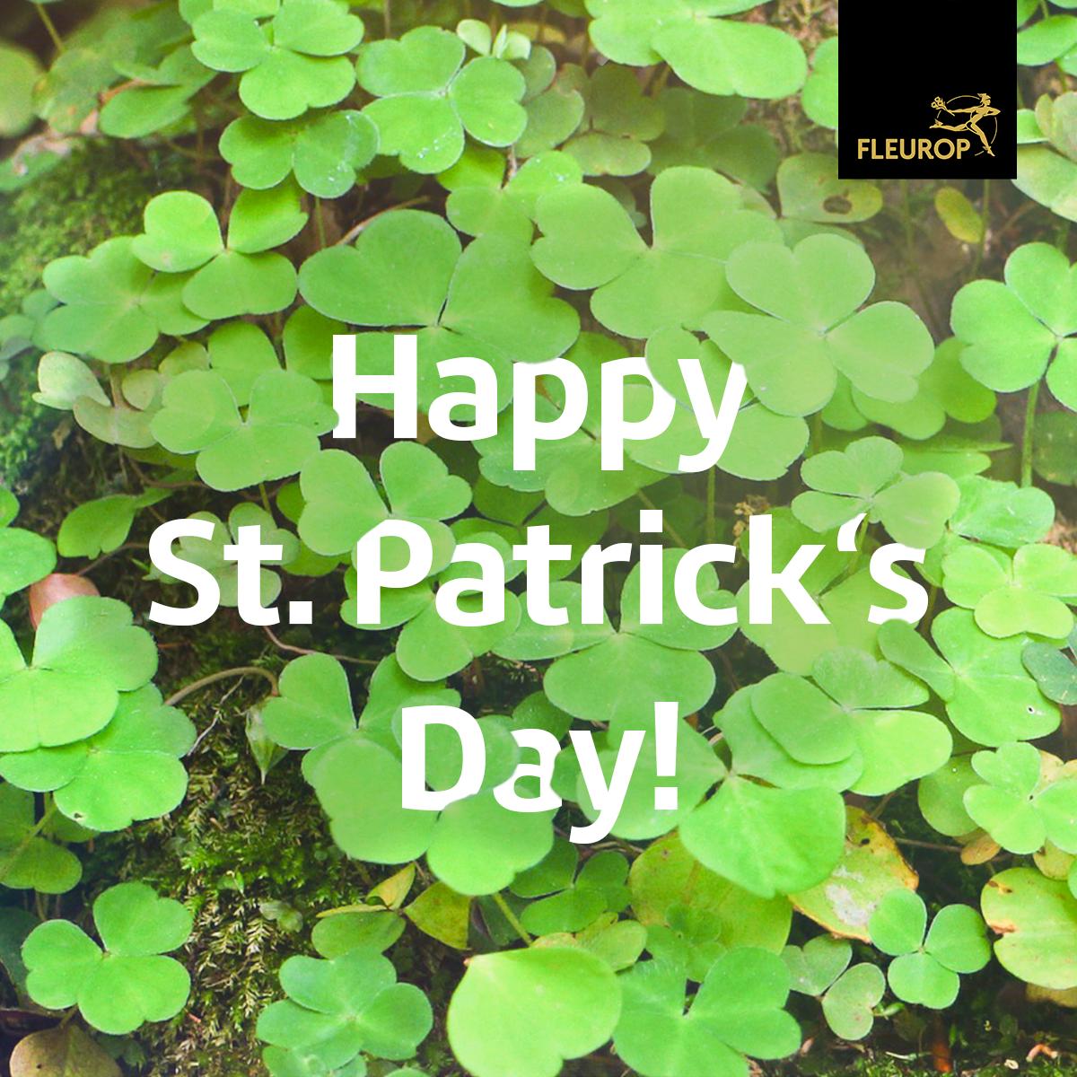 🍻🍀