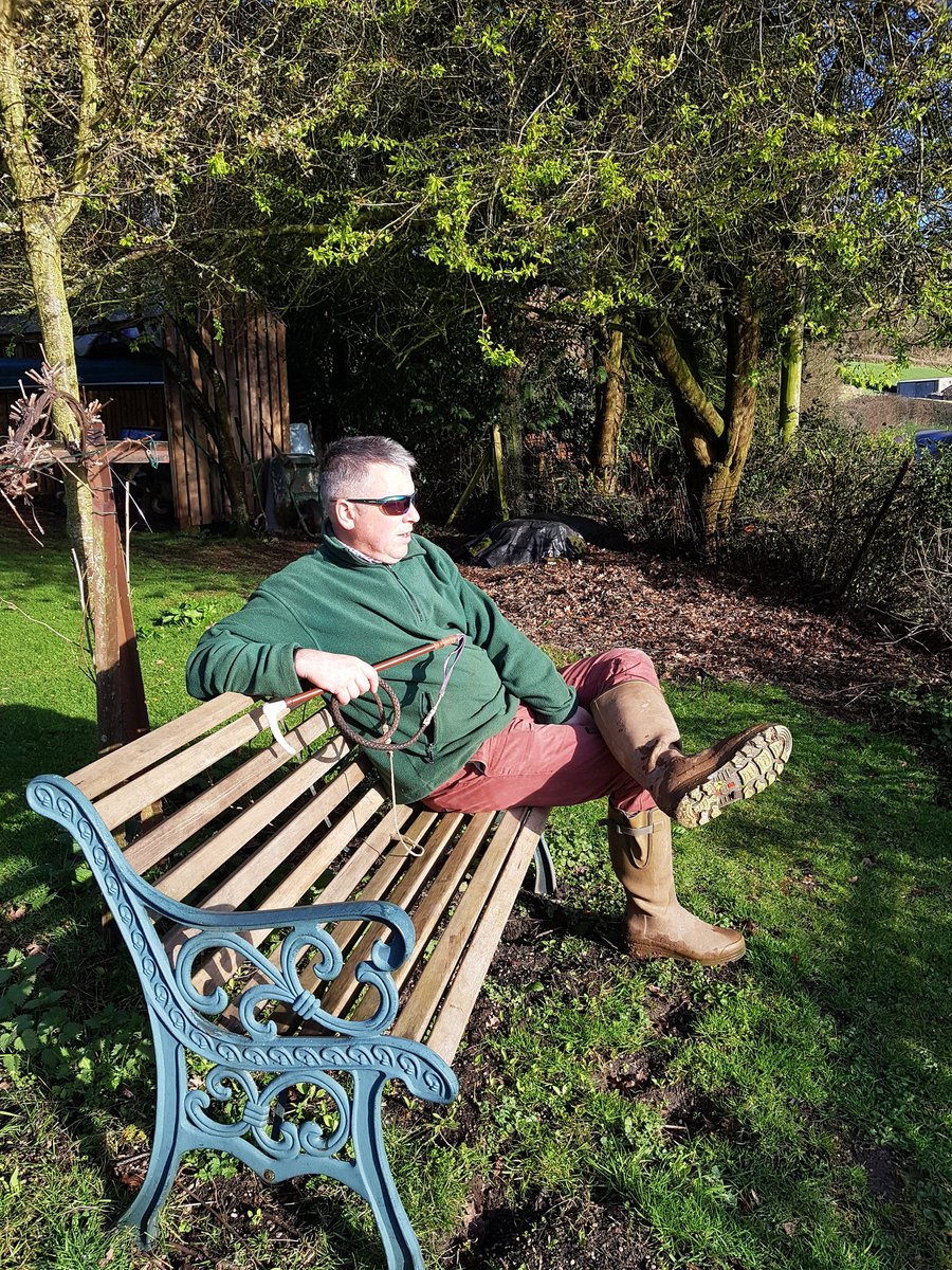 debrapitchford's tweet photo. Enjoying the view on this beautiful Sunday morning #forestofdean #woolaston #lovewhereilive https://t.co/eurtXWSf1m
