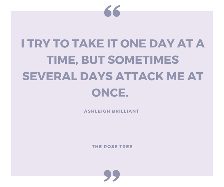 RoseTreeOrganic's tweet photo. One of those days or just me? https://t.co/r1RvgH2lSs