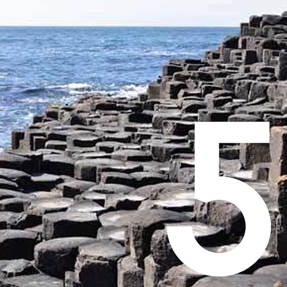 Lyceum Fellowship tweet media