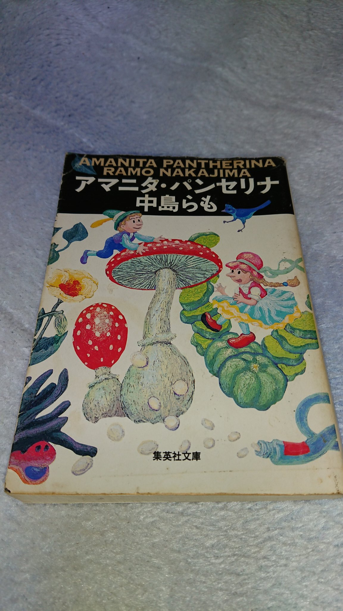 激安 アマニタパンセリナ様専用 その他 Labelians Fr