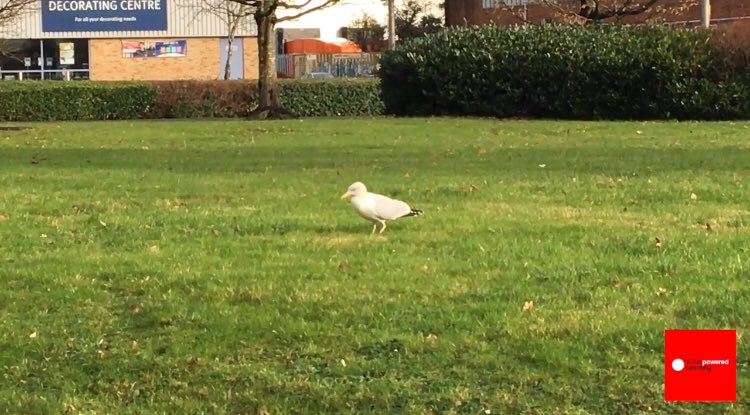 STEMpwdLearning's tweet image. What a week #BSW19! Here’s the 10th and last of our #free #STEMresource to celebrate. Thank you for all the support 😃 Please RT! 🧫🧬🔬🔭 #ASEChat #networkedchat #PriSci #primarySTEMchat @TMSouthWales @PrimaryWelsh @networkedcymru @EAS_STEM @CSCJES @ASE bit.ly/2NMfkPc