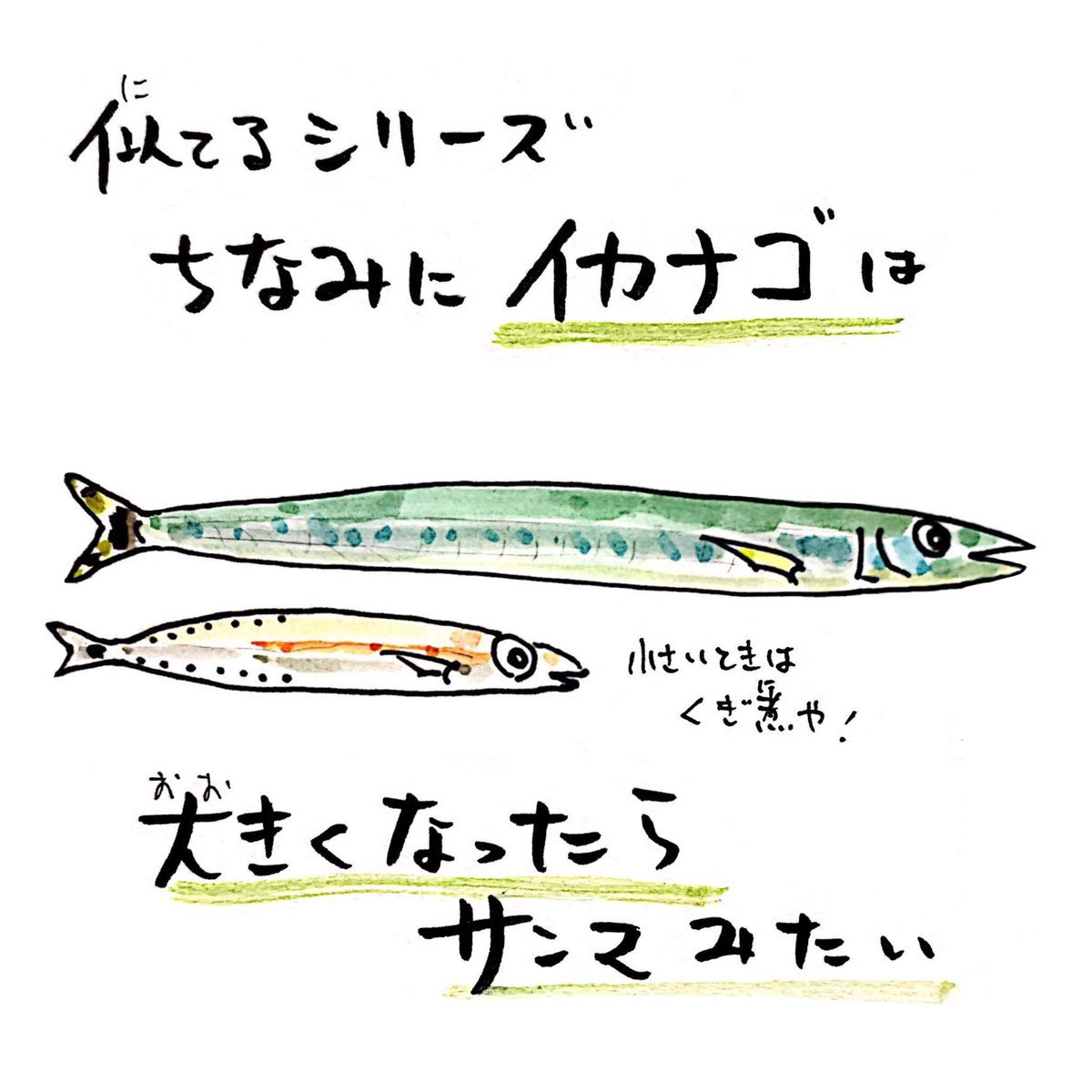 さかなのおにいさん かわちゃん No Twitter シラウオとシロウオの違いって何 全部しらすでokです さかな四コマ 白魚 うおにい