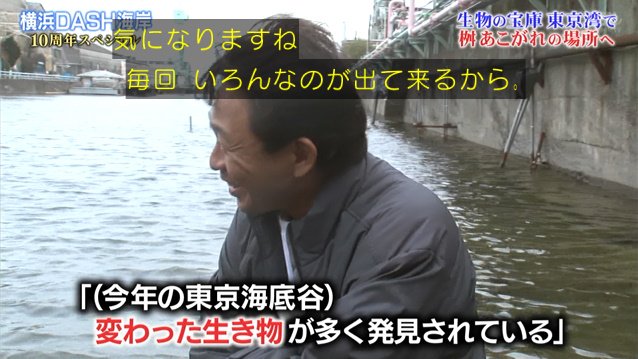 Tokioが標本レベルの深海カニ さらに再びラブカを捕獲し 同行した桝アナも木村先生もおかしくなる 鉄腕dash Togetter