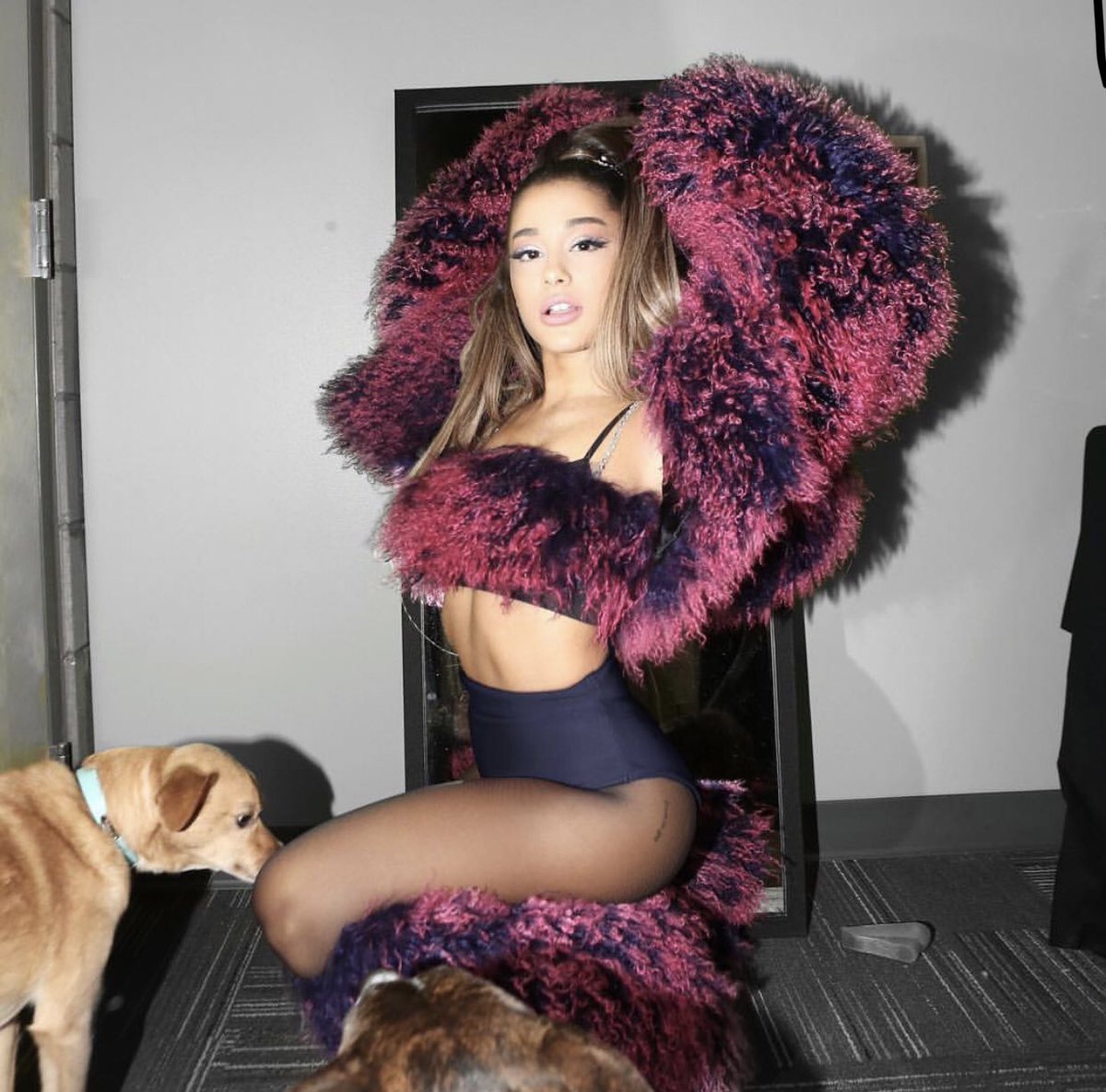 lo que va a ser este tour