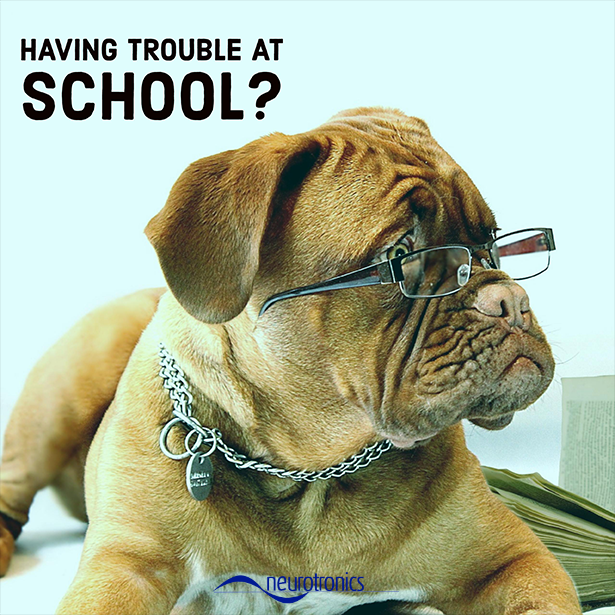 laxman_machine's tweet photo. Are you having trouble at school? The Laxman mental system could help you #focus on what is important to you - your future! Learn more => https://t.co/5Y43LBCx6f #student #meditation https://t.co/sqHQ3ZkpoY