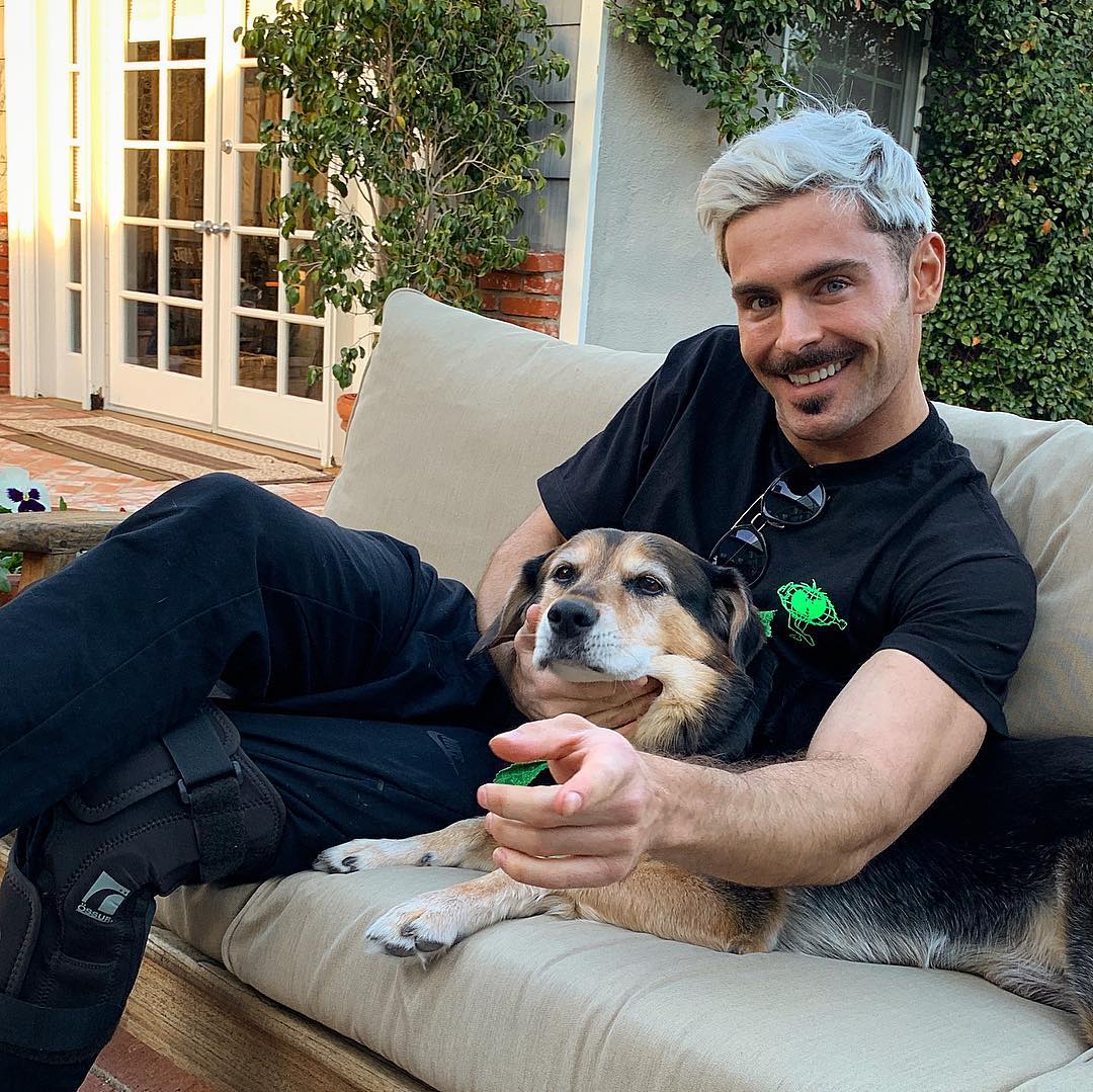 Zac Efron Dog ZAC Efron Mastin Matters(01)