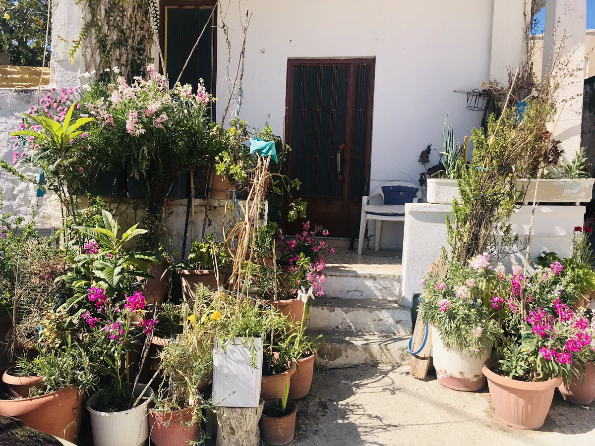 marilinapaters's tweet photo. Traditional Crete Experience_ Crete off the Beaten Path_ Join is! 🌸🥾👓
#traveltogreece #visitcrete #creteisland #traditional #traditionallife #village #offthebeatenpath #travelblogger #travelphotography #traveltocrete #traveldesigner #privatetours #elissostravellingphilosophy https://t.co/BtHIQnGQ2o