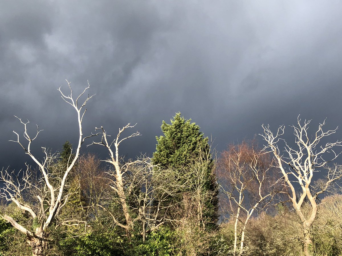 #nature supplying the lighting effects today at the #beefarm