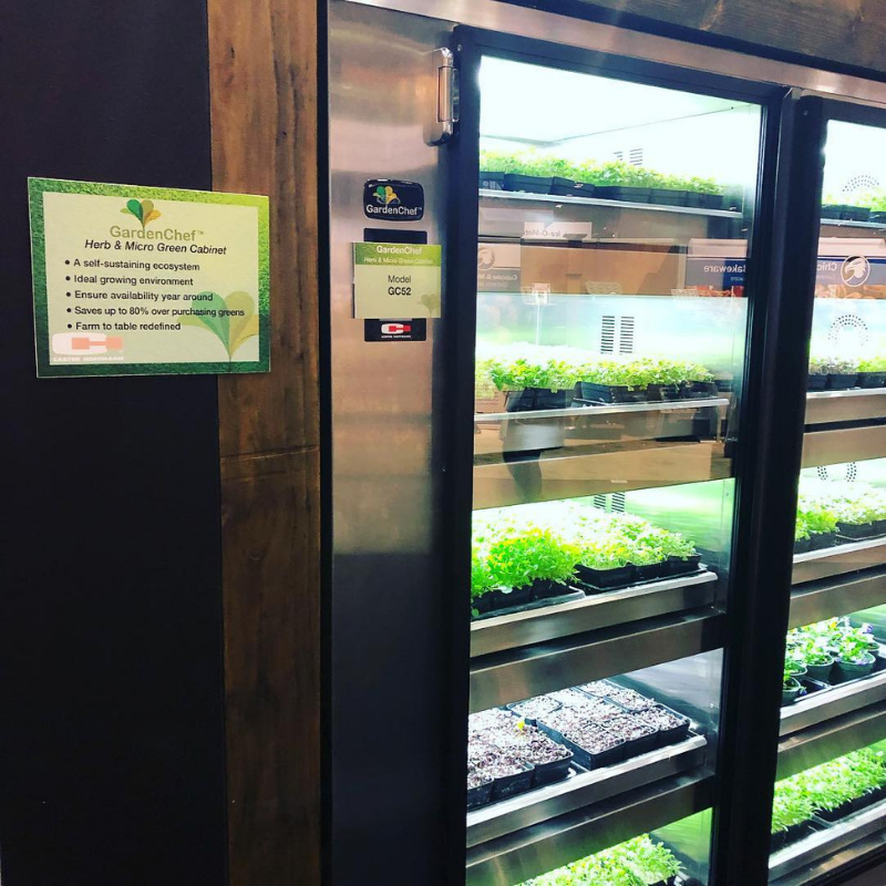 CarterHoffmann's tweet photo. Looking for an easy way to go #green this #StPatricksDay? 

Bring the garden indoors with our #GardenChef. Now you can save money and have fresh herbs on hand at all times. Check it out: https://t.co/eETgRoV86f. https://t.co/jad2lvfrOL