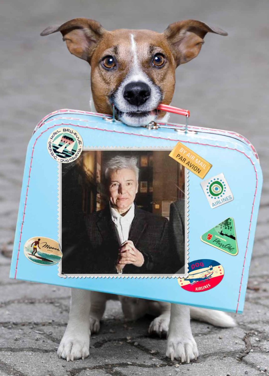 JoWhereToGo's tweet photo. #dogs love @juliegrantyeah because she loves dogs and believes in #AdoptDontShop ##excellentanimal https://t.co/m0oSjynhHw