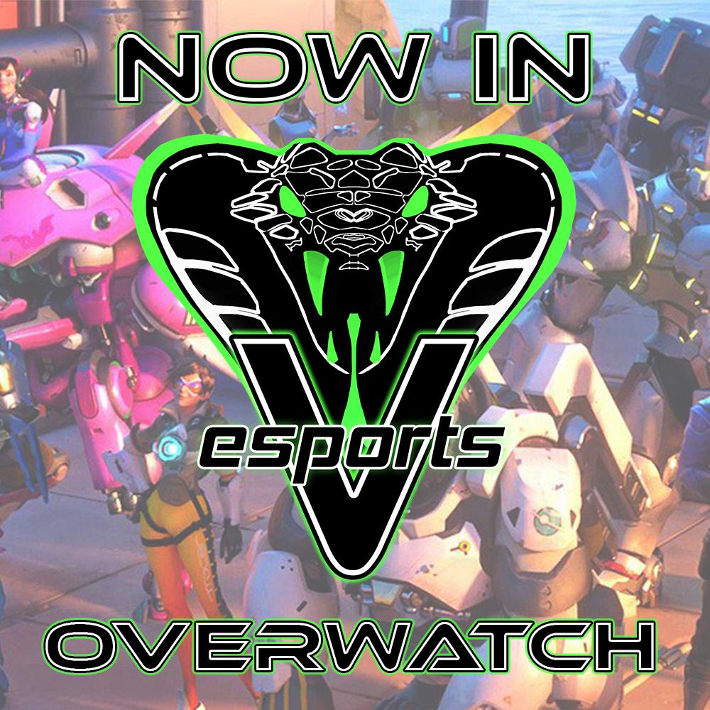EsportsVidere's tweet photo. 👀...

#ZAesports #esports #Overwatch #cowsa #SouthAfrican https://t.co/UjLLJrsL0b