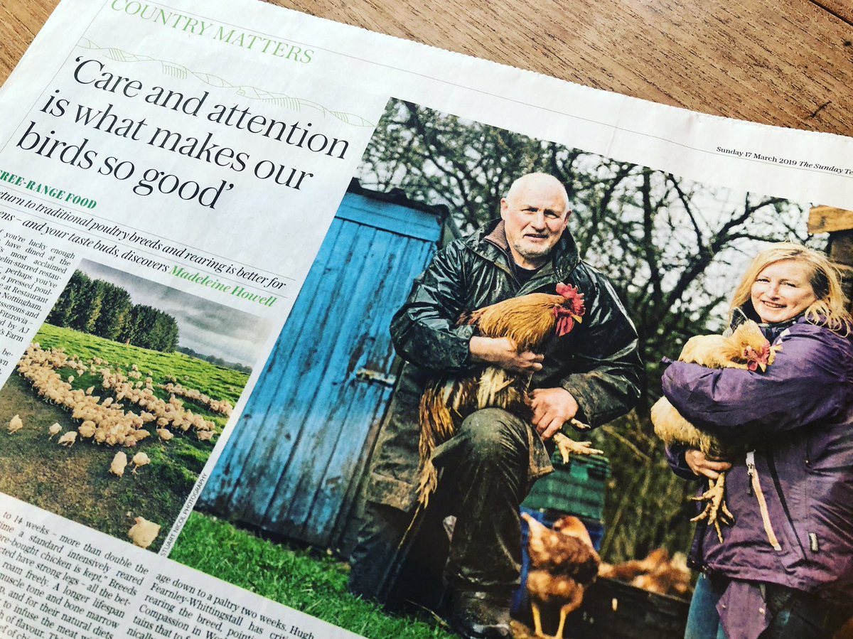 This Sunday’s <a href="/Telegraph/">The Telegraph</a> thanks to <a href="/madelinahowell/">Madeleine Howell</a>