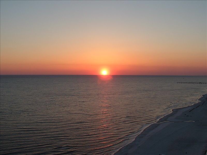 HippieGippy's tweet image. 