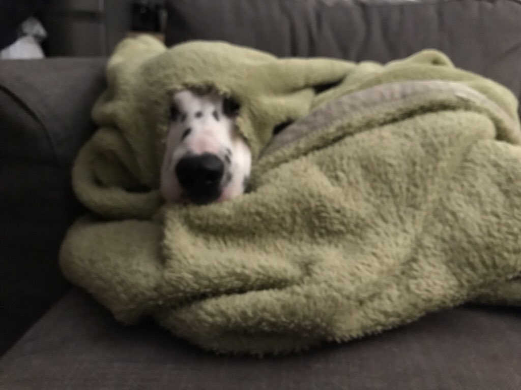 Krawattentrucker tweet media