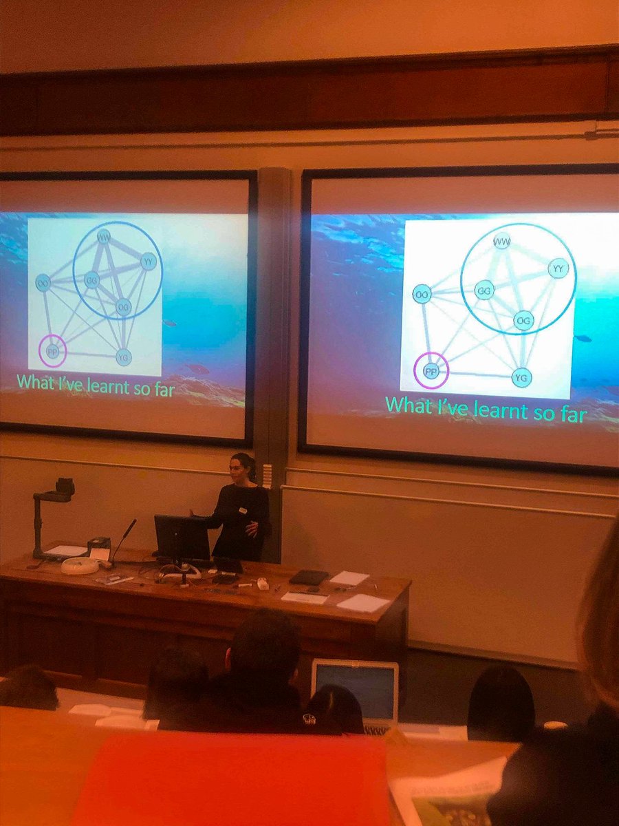 shaunkillen's tweet photo. Fantastic talks by @marpineda17 and @IsabelAragao8 at #STEB2019 about their projects on corydoras air breathing. Congrats to @IsabelAragao8 for getting runner-up for best talk! @GlasgowUniFish https://t.co/lzdZE5jpGh