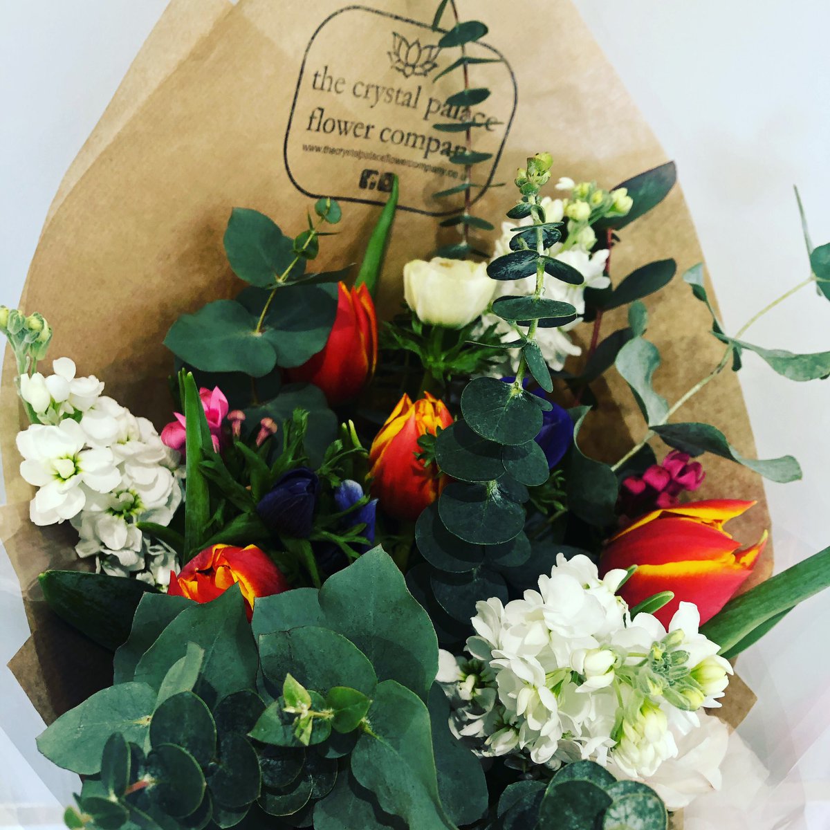 kathryn_turner_'s tweet photo. Love my flowers from the Crystal Palace Flower Company 💐#crystalpalaceflowercompany #crystalpalace #buylocal #supportlocaltrade https://t.co/13URpKMai0