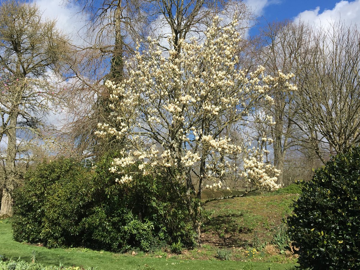 Spring is nearly here!