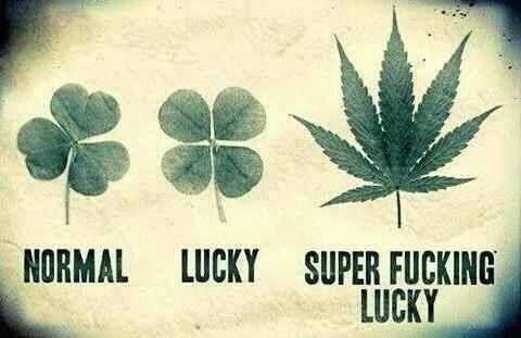 cypresshill's tweet photo. Get lucky this St. Patrick's Day! #smokelikecypresshill #WestCoastHighTour #SaintPatricksDay2019 #SaintPatrickDay #saltlakecity https://t.co/uE0IwJEMDt