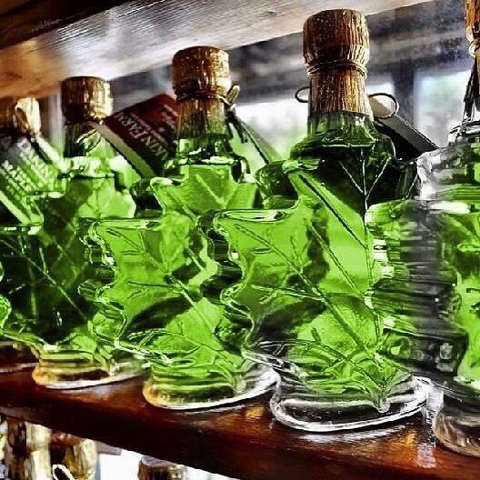 DakinFarm's tweet image. Happy St. Patrick’s Day!