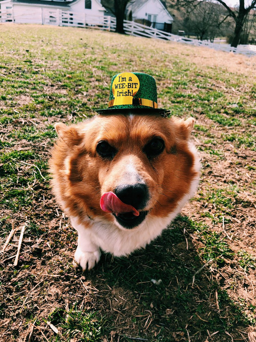 lg_swimmer's tweet photo. me and penny decided to have a photo shoot yesterday 🤪 https://t.co/1TNl2t5WP5